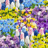 50 Top Size Early Blooming Flower Bulbs for Spring Planting, Garden, Colorful Spring Blooms, Mixed Ground Cover Flowerbeds, Borders Bulb