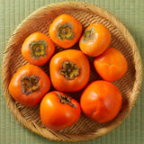 2 Seedlings Persimmon Trees Live Fruit Plants, Dormant No Leaf, Sweet Fruit, Established Roots, 7 to 15 Inches in Tall, Zones 7-10