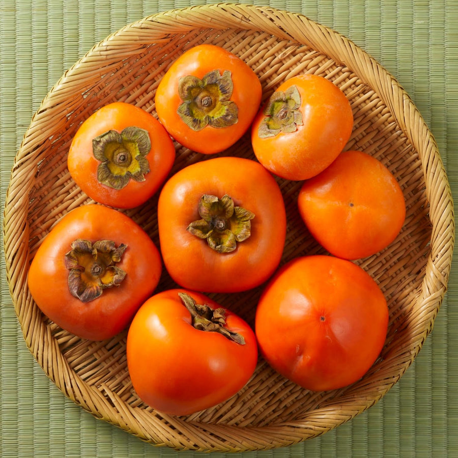 2 Seedlings Persimmon Trees Live Fruit Plants, Dormant No Leaf, Sweet Fruit, Established Roots, 7 to 15 Inches in Tall, Zones 7-10