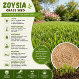 12000 Zoysia Empire Grass Seeds, Zoysia Grass Seeds, Low-Maintenance for Home Yards and Gardens