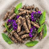 9 Comfrey Roots for Planting, Comfrey Cuttings Bocking 4 Rhizomes, 1-2", Perennial Herbs for Growing Outdoor, Fast Growth and High Yields