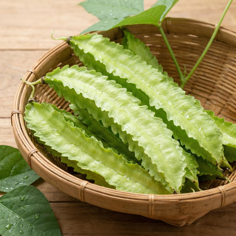 10 Winged Bean Seeds for Planting, Tropical Vegetable Seeds, Climbing Bean Vine Seeds for Garden and Trellis Growing
