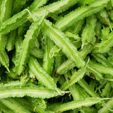 10 Winged Bean Seeds for Planting, Tropical Vegetable Seeds, Climbing Bean Vine Seeds for Garden and Trellis Growing