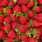 2 Strawberry Plants Live, Sweet Strawberry Fruit Live Plant in 2'' Pot, 4-6 Inc Tall, Outdoor Planting