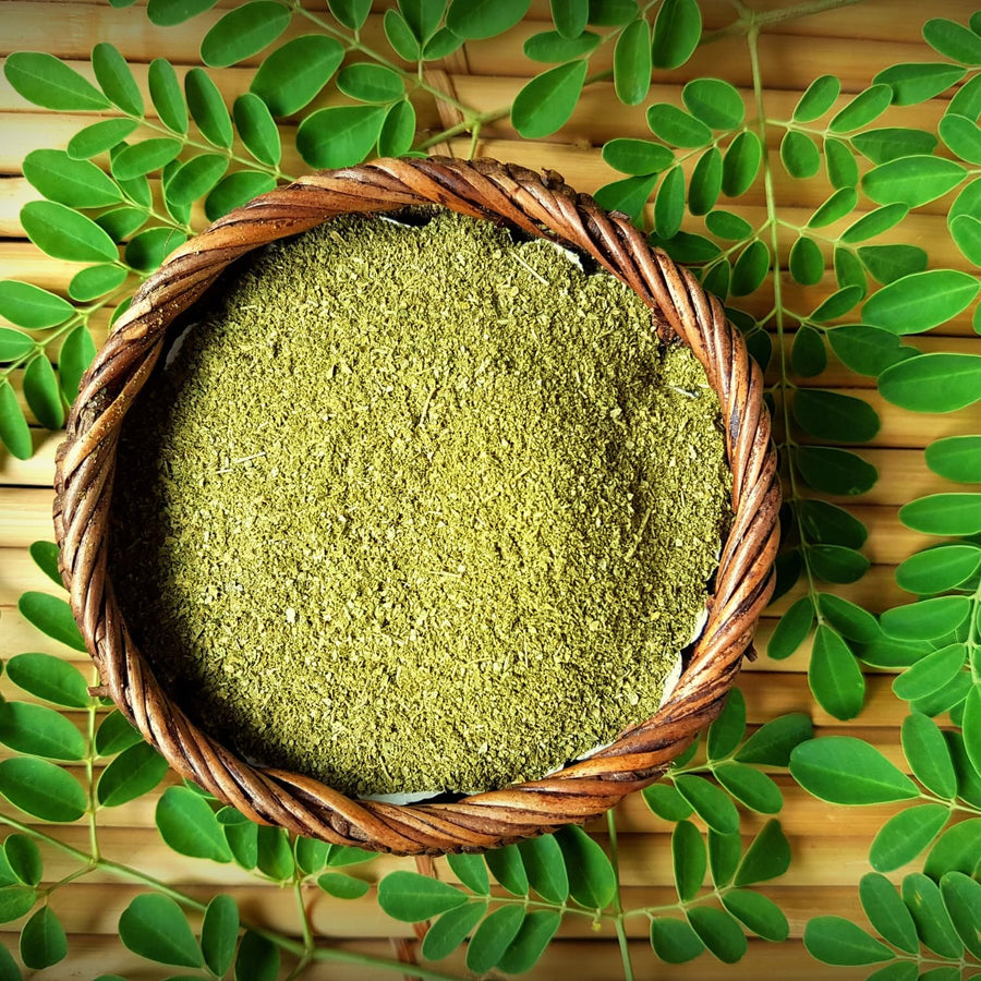 Pack of 100 Moringa Seeds for Planting, Moringa Oleifera Tree Seeds, Tropical Garden Plant Seeds Outdoor