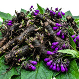 9 Comfrey Roots for Planting, Comfrey Cuttings Bocking 4 Rhizomes, 1-2", Perennial Herbs for Growing Outdoor, Fast Growth and High Yields