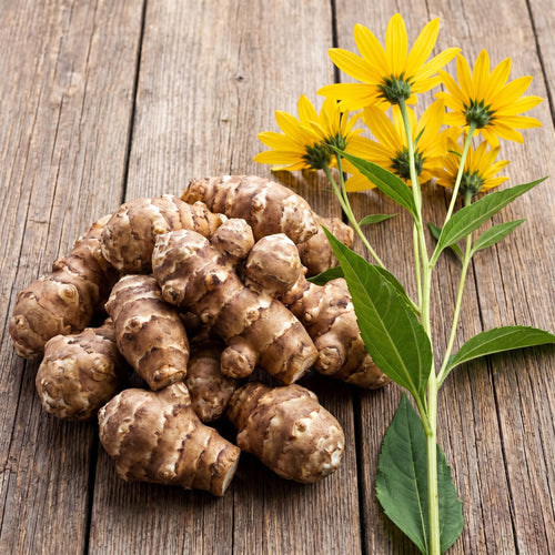 2 Lbs Jerusalem Artichoke Tubers for Planting, Sunchoke Root Vegetable, High Yield Vegetable Plants for Outdoor Growing
