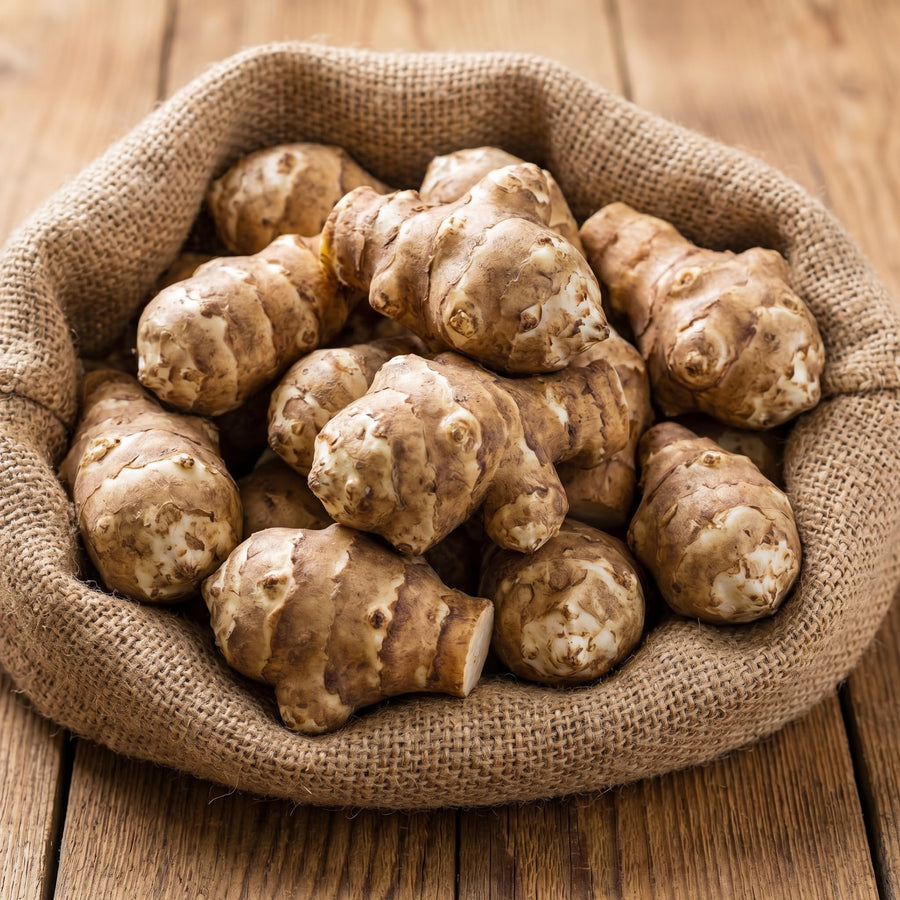 1 lb Jerusalem Artichoke Roots for Planting, Sunchoke Tubers, Vegetable Roots for Garden Growing