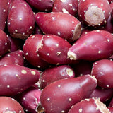 Purple Prickly Pear Cactus Plant Live, Cactus Succulent for Home Decor 6–8 Inch Tall, Cold Hardy, Indoor Outdoor Planting