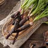15 Comfrey Roots for Planting - Live Bocking 14 Comfrey Root Cuttings, Perennial Comfrey Roots for Garden Growing, 2-5" Root