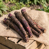 8 Comfrey Roots for Planting, High Yielding Comfrey Rhizomes, Perennial Herbs for Growing Outdoor, Ready for Planting