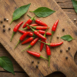 50 Bird Chili Seeds for Planting, Thai Hot Pepper Seeds, Vegetable Seeds for Garden and Container Growing